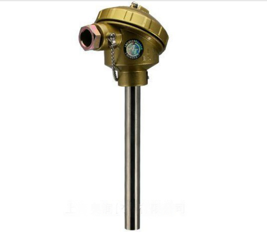 WRP-120ȵPT100WRE2-43C