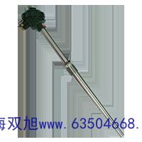 SBWR-440I加工热电偶WZP2-634
