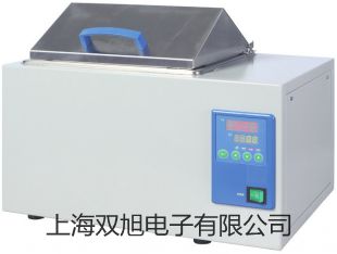 WZPT31ȵ裬WZPT-31,˫