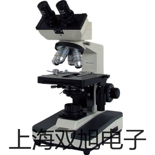 KT-20RKT-20R磁性开关销售【双旭】