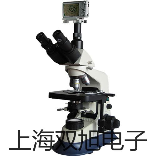 恒温恒湿箱LHS-250SC价格表【双旭】