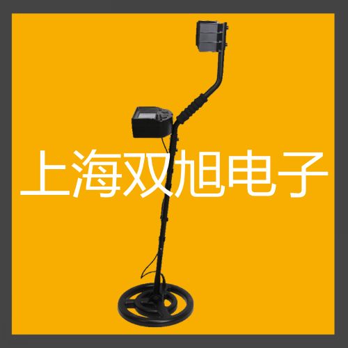 LSZD-200双转子流量计参数【双旭】
