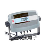 CS149N-10CS149N-10可编程数字高压表参数【双旭】