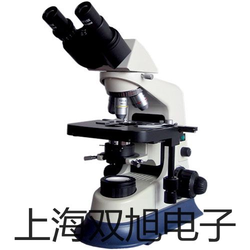 תR1010EXۡ˫