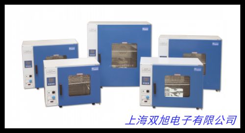电热恒温鼓风干燥箱 高温工业烘箱 烤箱 恒温箱 热老化试验箱小型