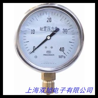 供应轴向带边耐震压力表 气压表防震压力表 品质保证